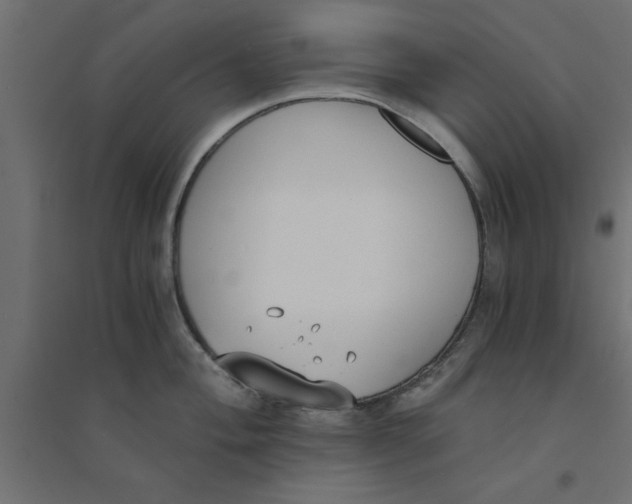 X0000094321004200711241803