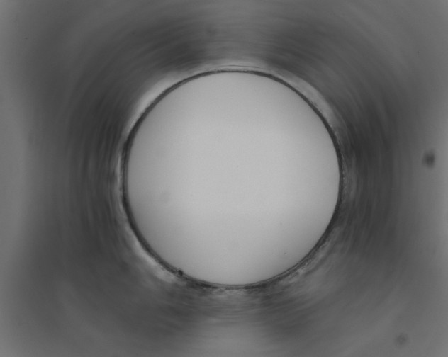 X0000094321006200711241803