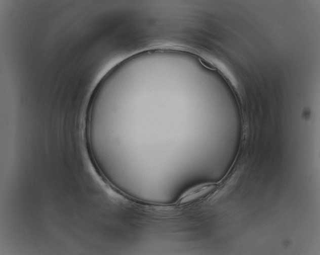 X0000094321007200711241803