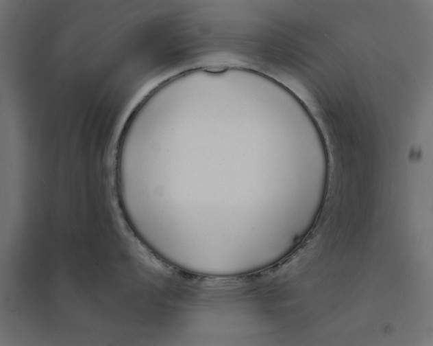 X0000094321008200711241803