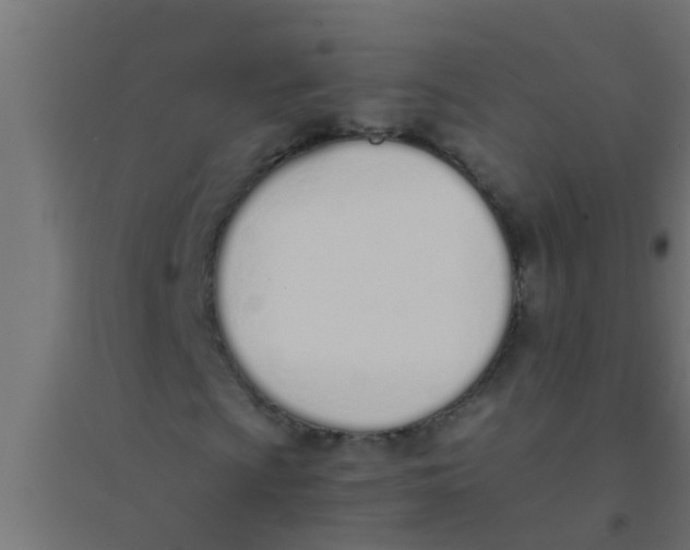 X0000094321009200711241802