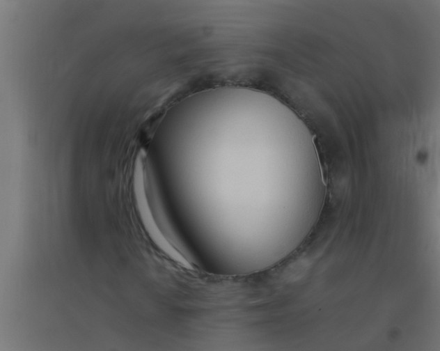 X0000094321010200711241802