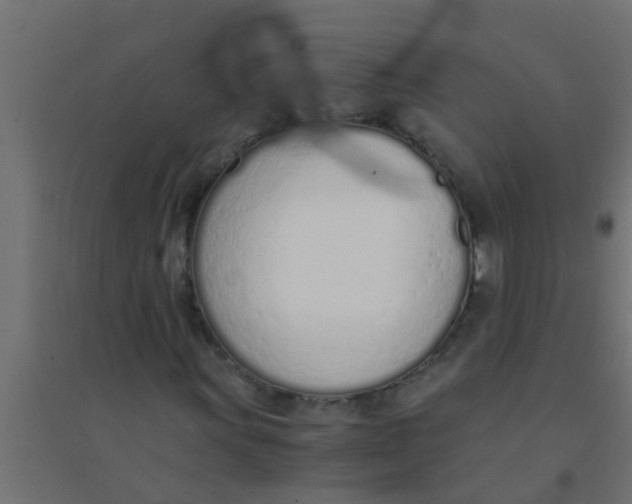 X0000094321011200711241802