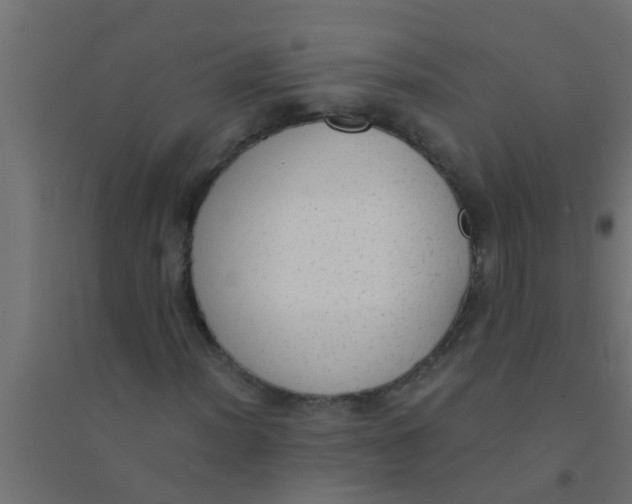 X0000094321012200711241802