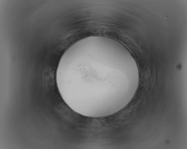 X0000094321013200711241802