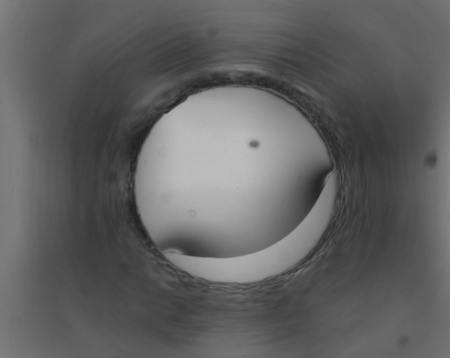X0000094321014200711241802