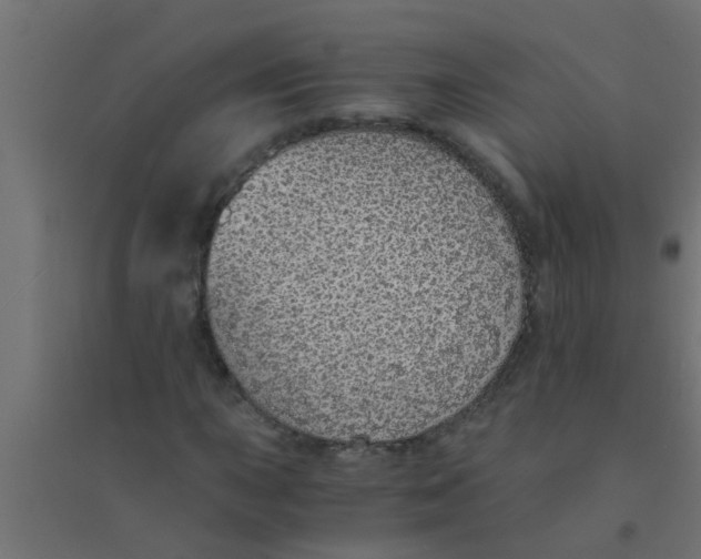 X0000094321015200711241802