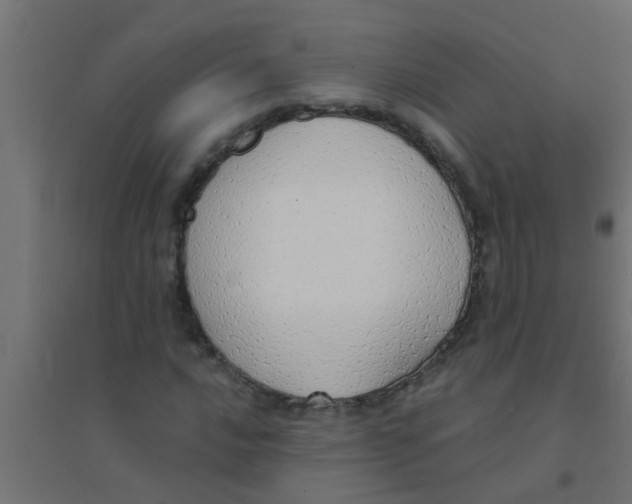 X0000094321016200711241802