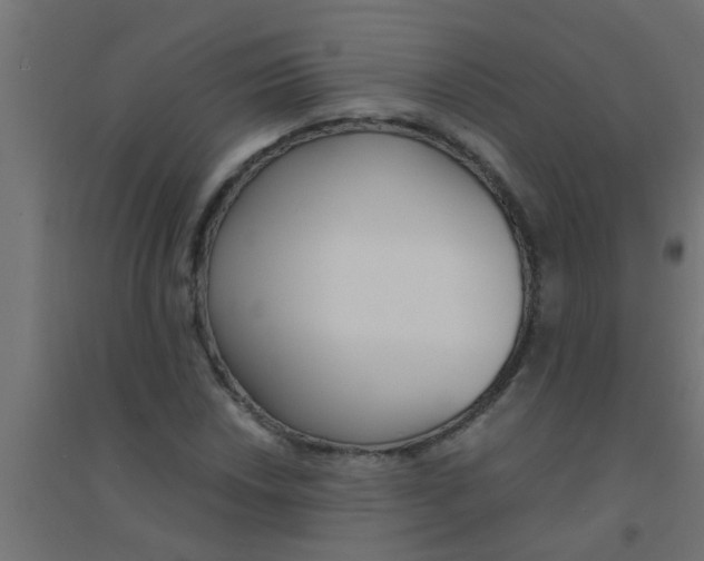 X0000094321018200711241802