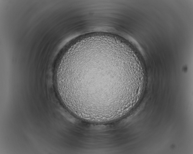 X0000094321019200711241802
