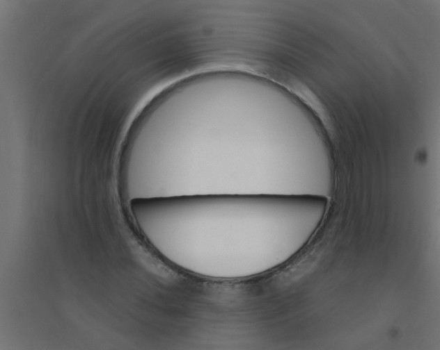 X0000094321020200711241802