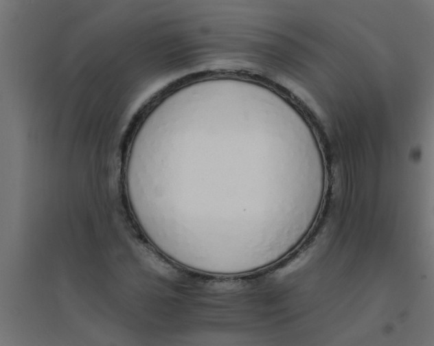 X0000094321021200711241802