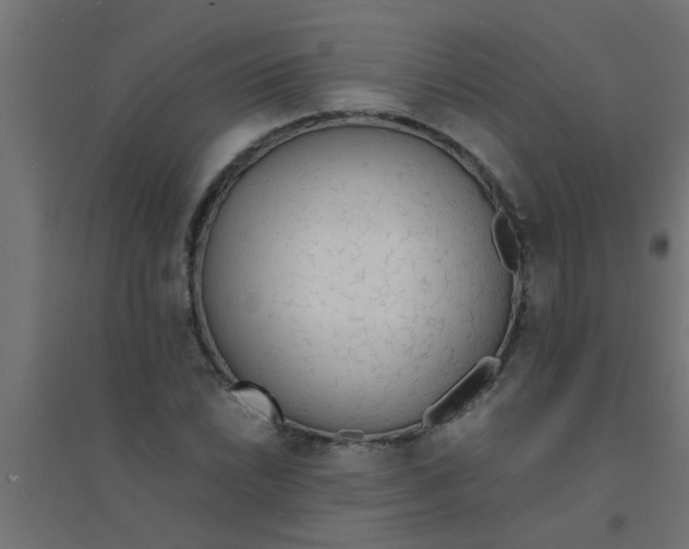 X0000094321022200711241802