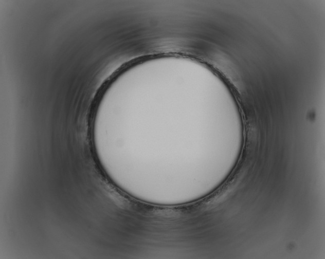 X0000094321023200711241802