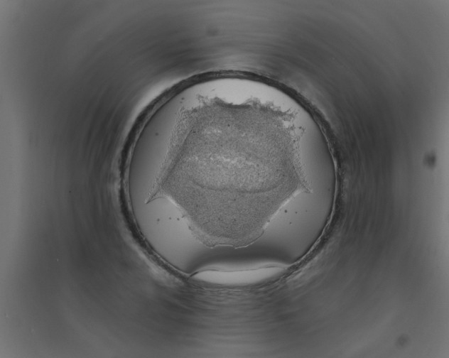 X0000094321024200711241802