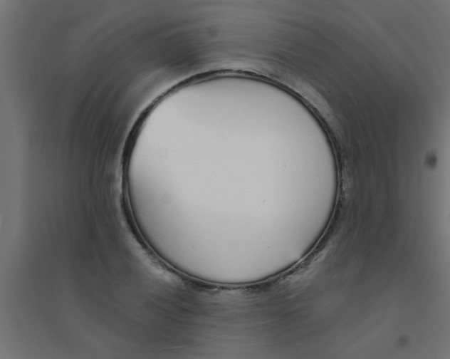 X0000094321028200711241802