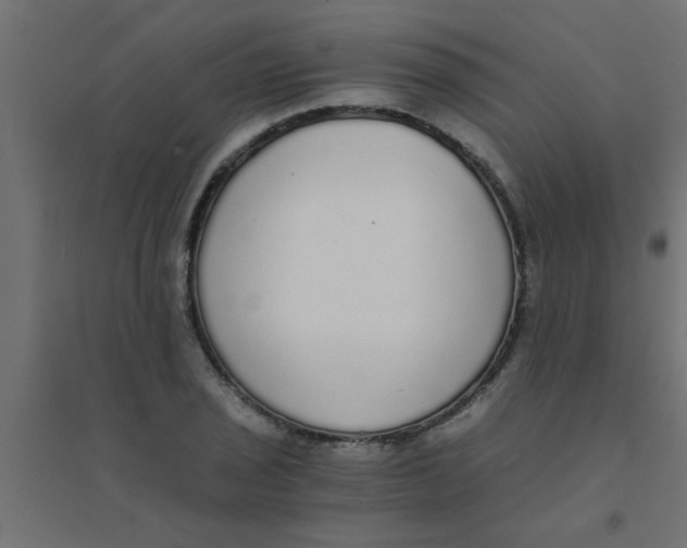 X0000094321029200711241802