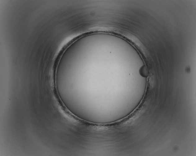 X0000094321030200711241803