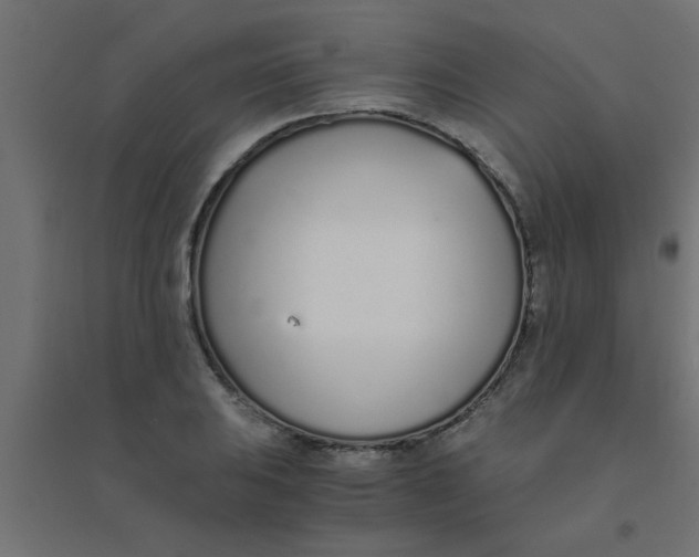 X0000094321031200711241803