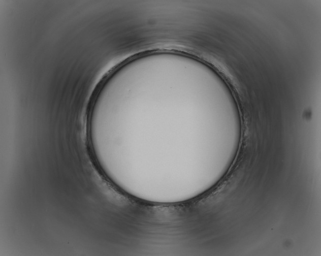 X0000094321032200711241803