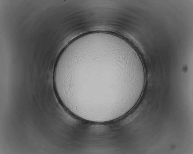 X0000094321033200711241803