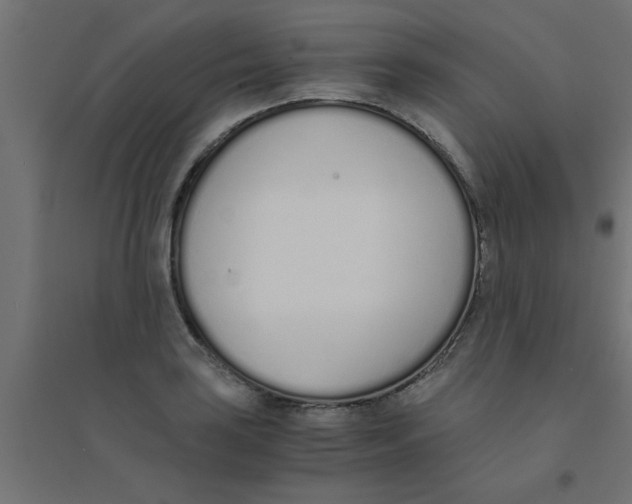 X0000094321035200711241803