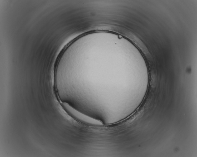 X0000094321036200711241803