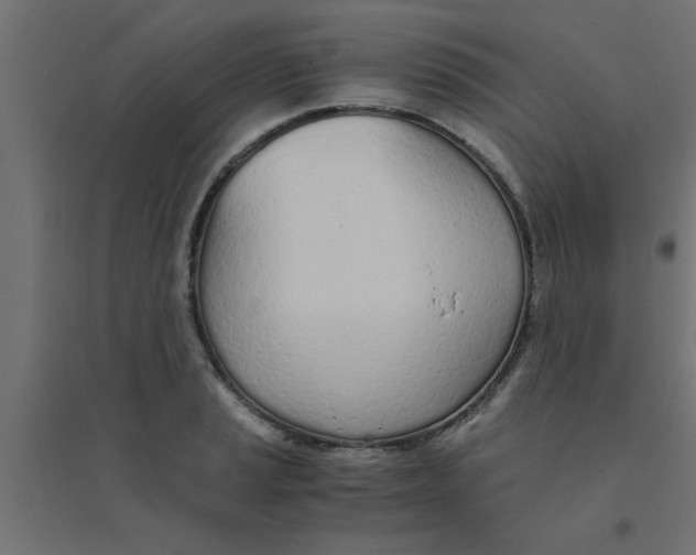 X0000094321037200711241803