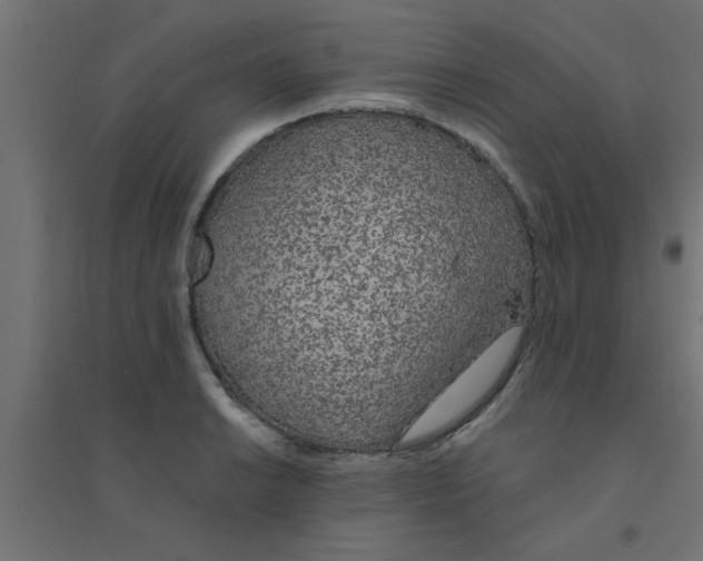 X0000094321038200711241803