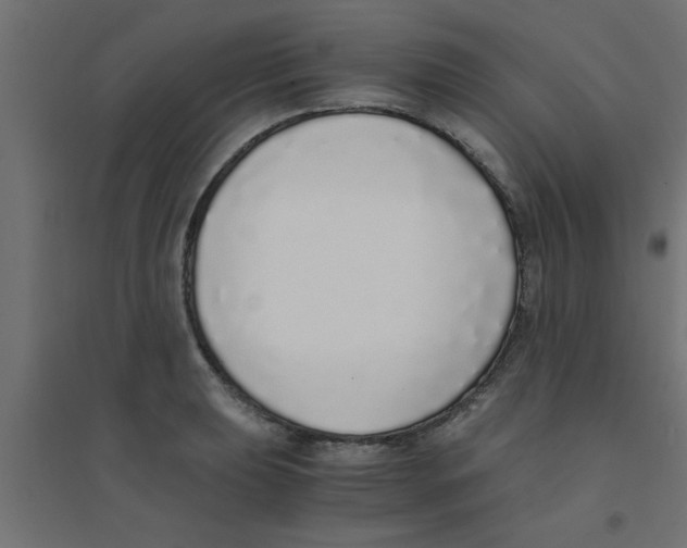 X0000094321039200711241803