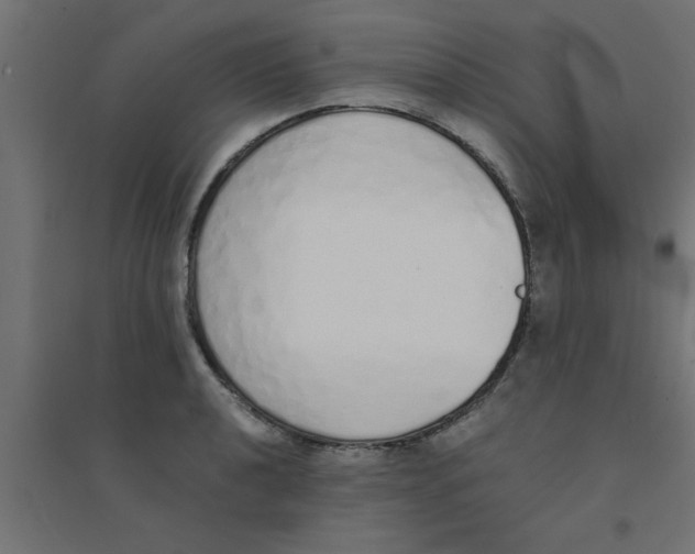 X0000094321040200711241803