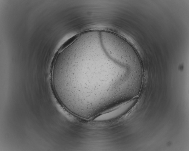 X0000094321042200711241803