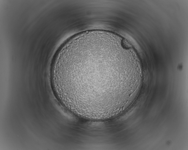 X0000094321043200711241803