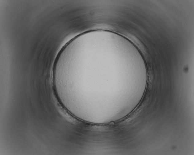 X0000094321044200711241803
