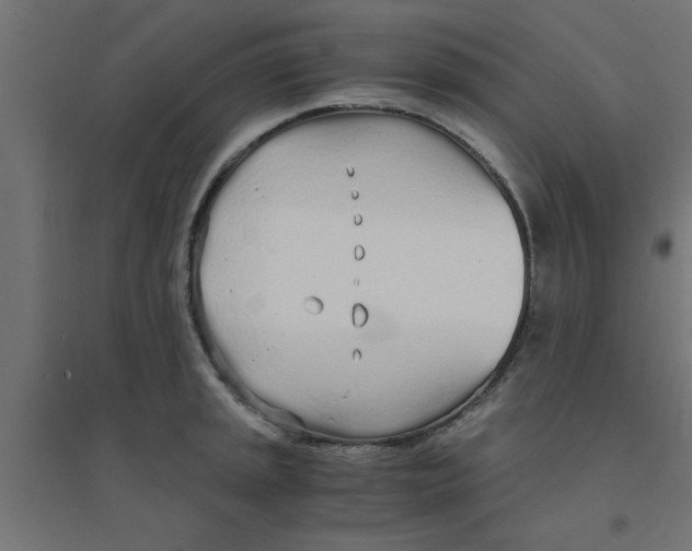 X0000094321045200711241803