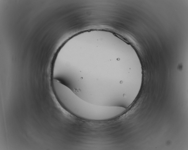 X0000094321046200711241803