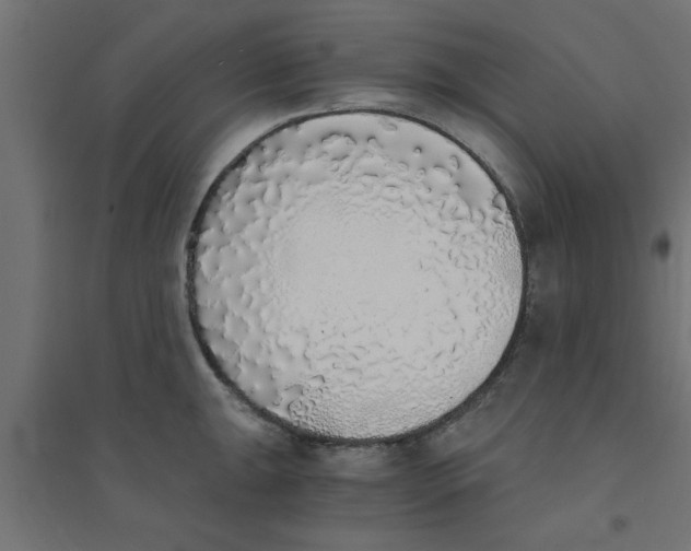 X0000094321047200711241803