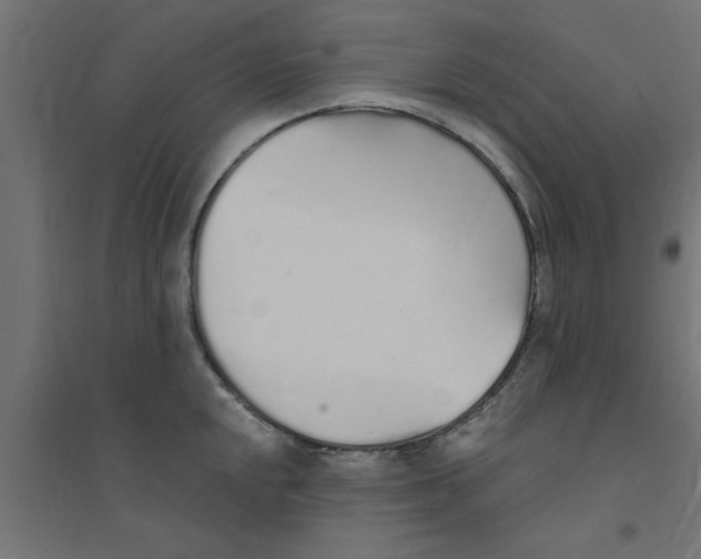 X0000094321048200711241803