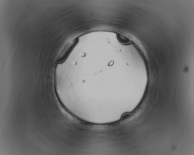 X0000094321049200711241803