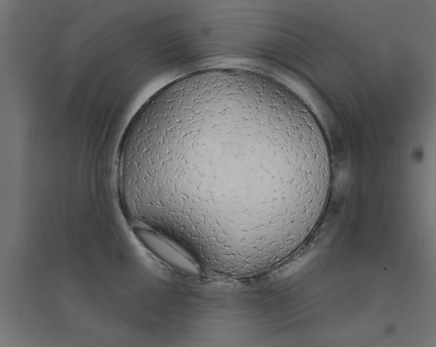 X0000094321050200711241803