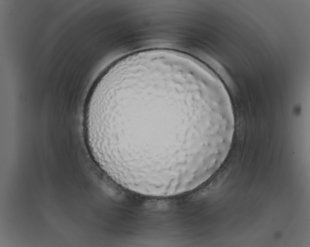 X0000094321051200711241803