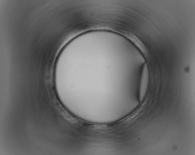 X0000094321052200711241803