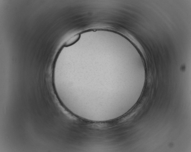 X0000094321053200711241803