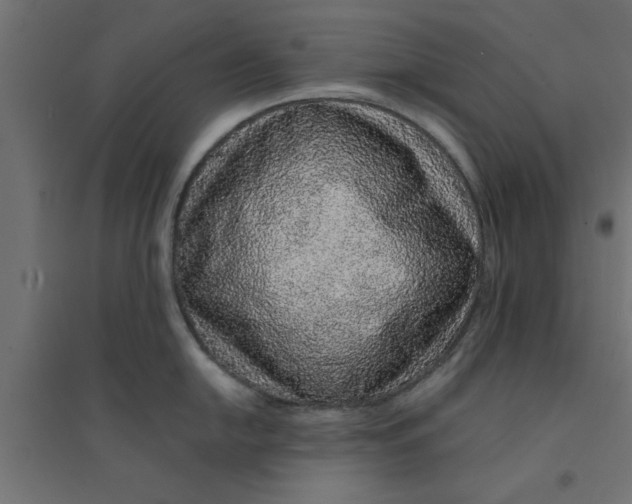 X0000094321054200711241803