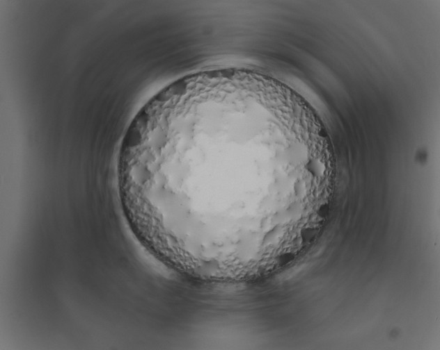 X0000094321055200711241803