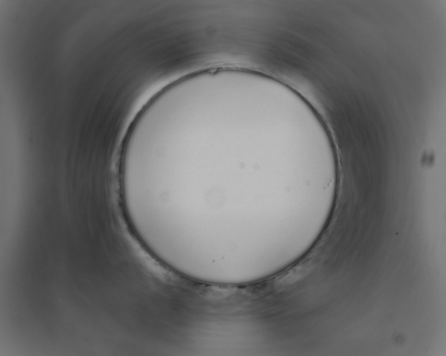 X0000094321056200711241803