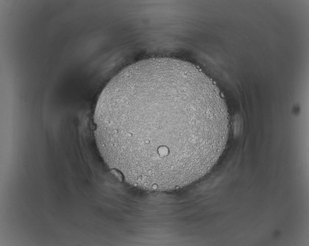 X0000094321059200711241802