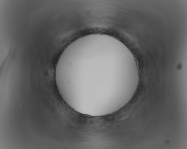 X0000094321061200711241802