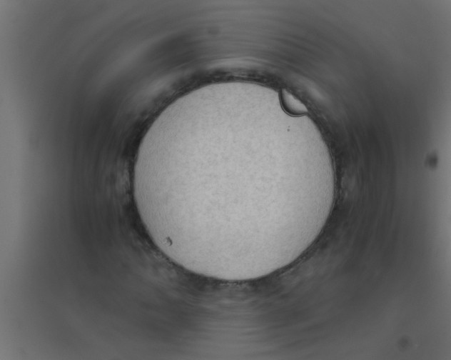 X0000094321062200711241802