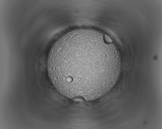 X0000094321063200711241802